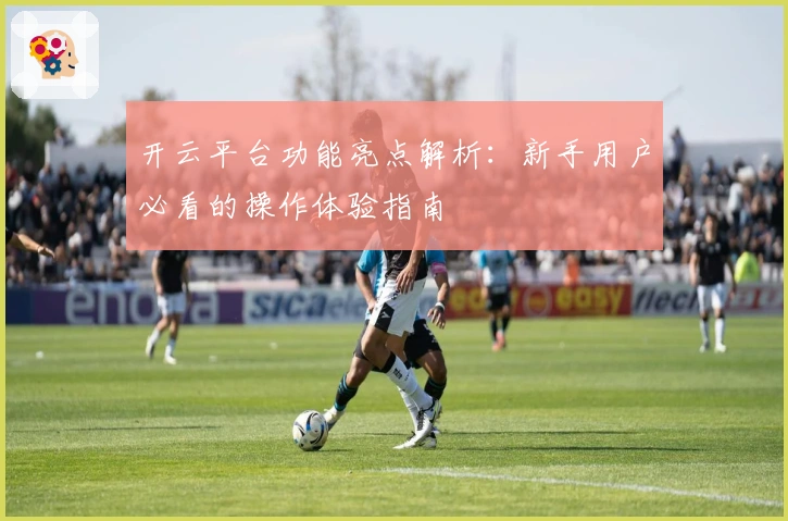 开云平台功能亮点解析：新手用户必看的操作体验指南