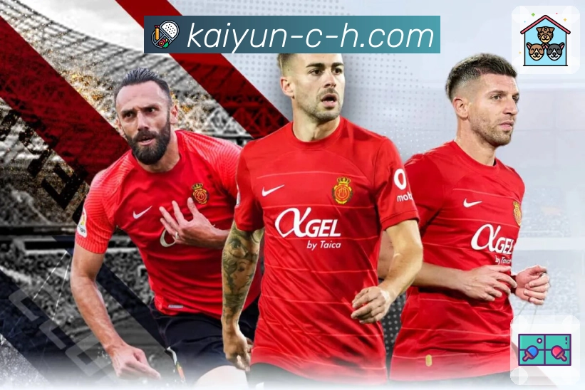 品牌荣誉 点亮未来